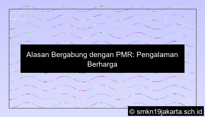 Alasan Masuk Pmr