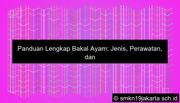 Bakal Ayam
