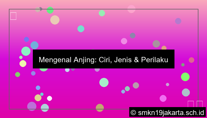 Ciri Ciri Anjing