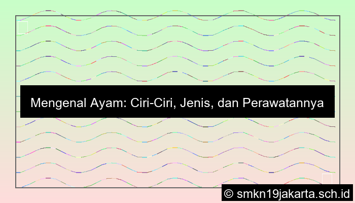 Ciri Ciri Ayam 1
