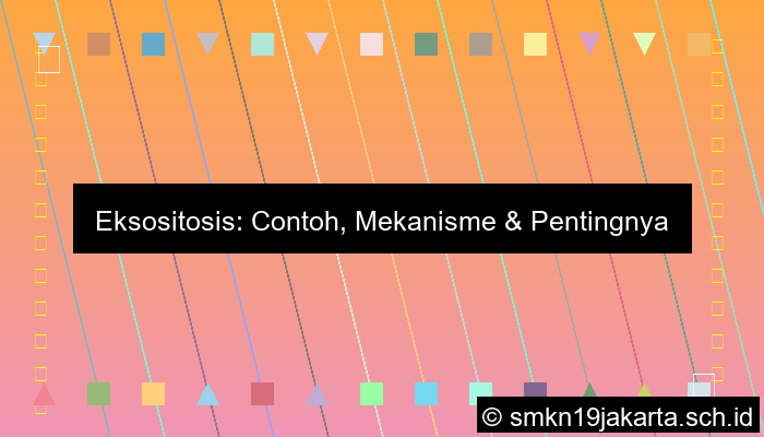 Contoh Eksositosis