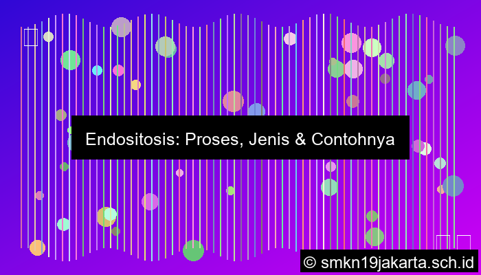 Contoh Endositosis