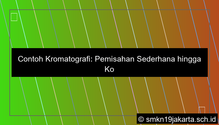 Contoh Kromatografi