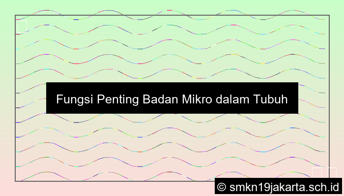 Fungsi Badan Mikro
