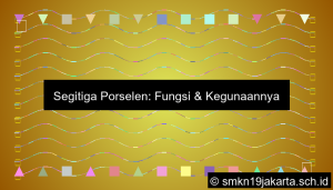 Fungsi Segitiga Porselen
