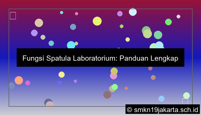 Fungsi Spatula Laboratorium