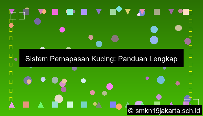 Kucing Bernapas Dengan