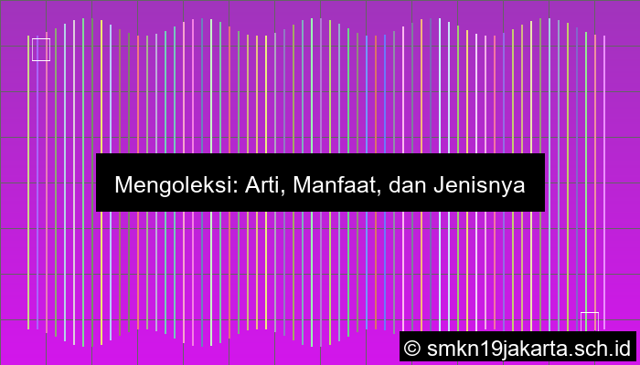 Mengoleksi Artinya