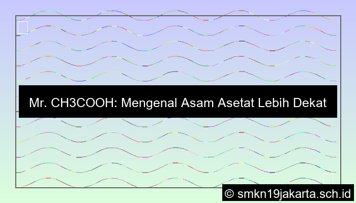 Mr Ch3cooh