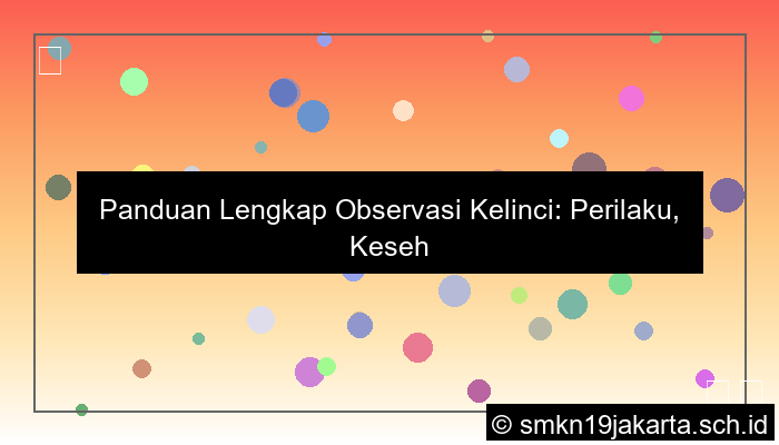 observasi kelinci