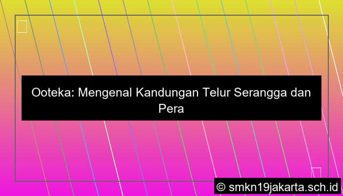 Ooteka Adalah