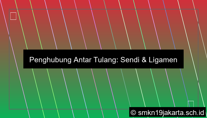 Penghubung Antar Tulang Disebut