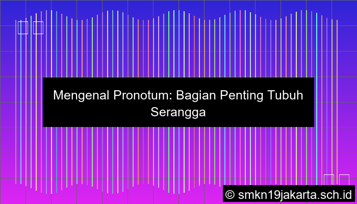 Pronotum Adalah