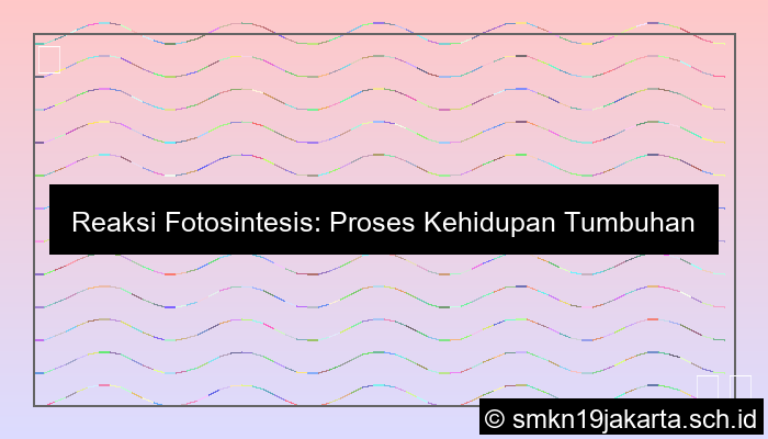 Tuliskan Reaksi Fotosintesis