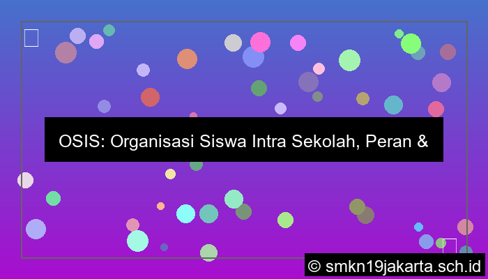 visual penjelasan tentang osis