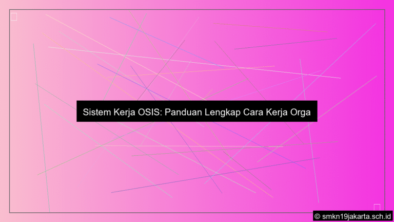 visual sistem kerja osis