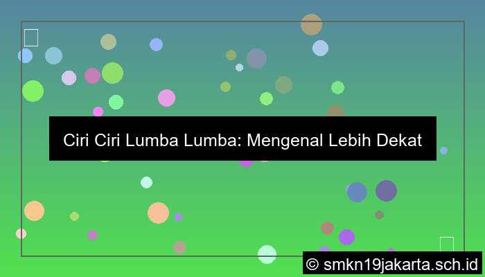 ciri ciri lumba lumba