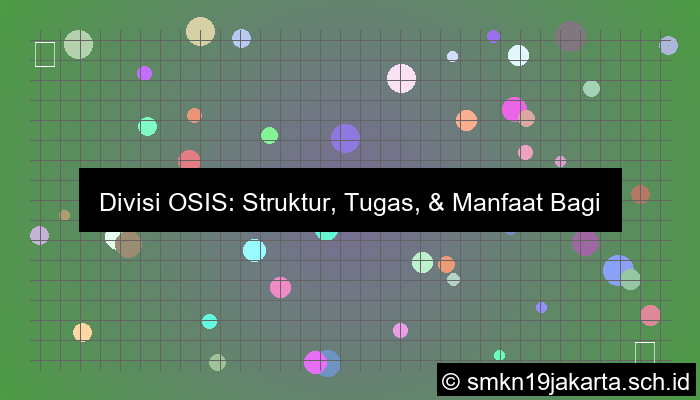 grafik divisi dalam osis