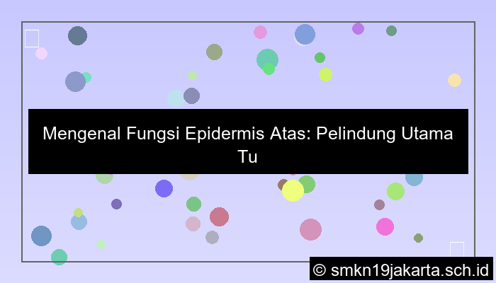 fungsi epidermis atas