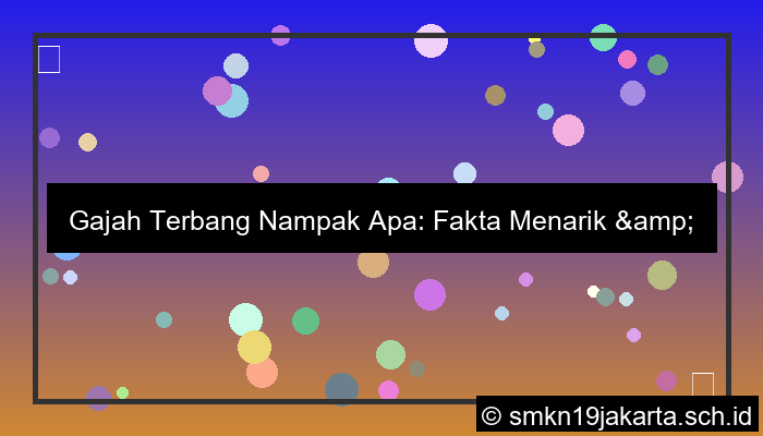 gajah terbang nampak apa