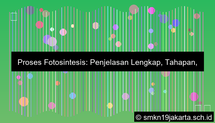 jelaskan proses fotosintesis