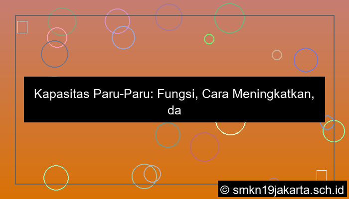 Kapasitas Paru Paru