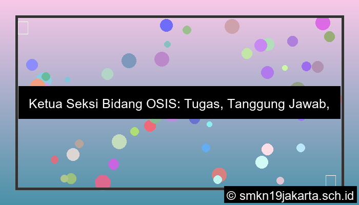 visual ketua seksi bidang osis