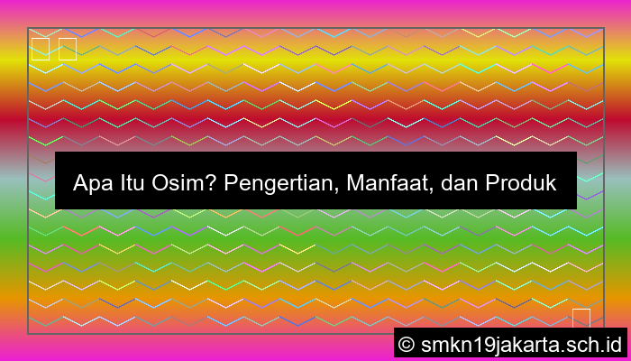 ilustrasi pengertian osim