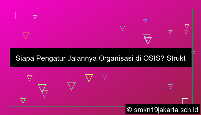 yang mengatur jalannya organisasi di osis adalah