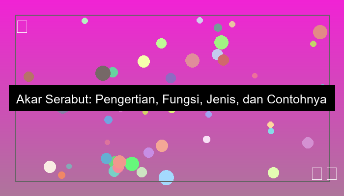 akar serabut
