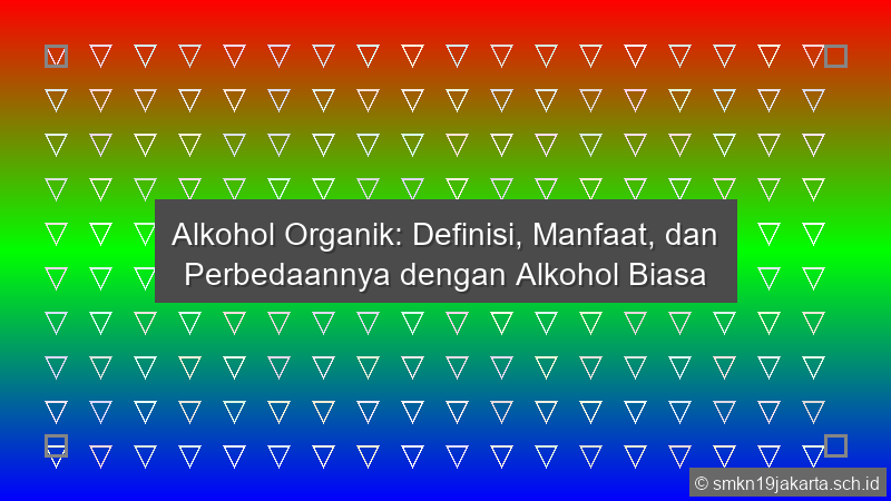 Alkohol Organik