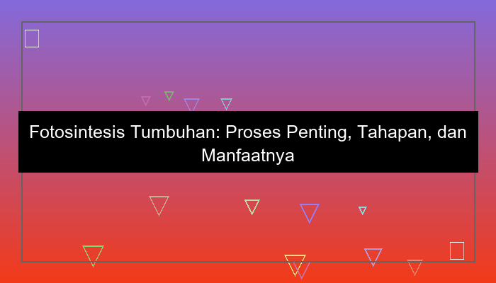 fotosintesis tumbuhan