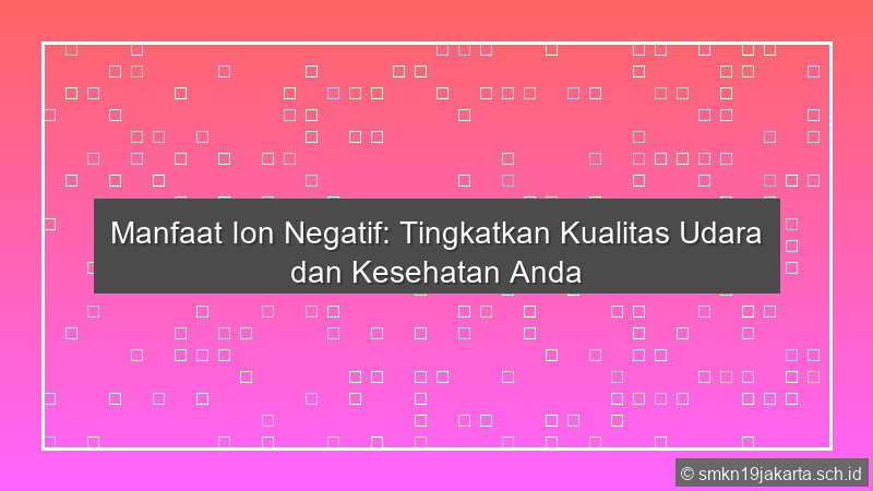Ion Negatif