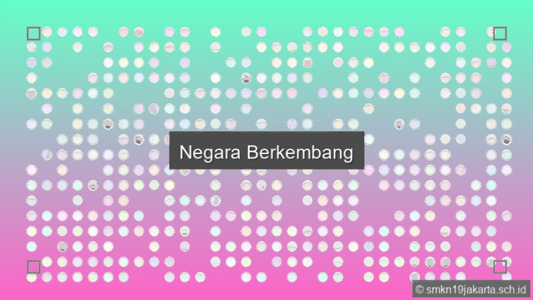 Negara Berkembang