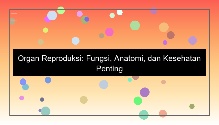 organ reproduksi