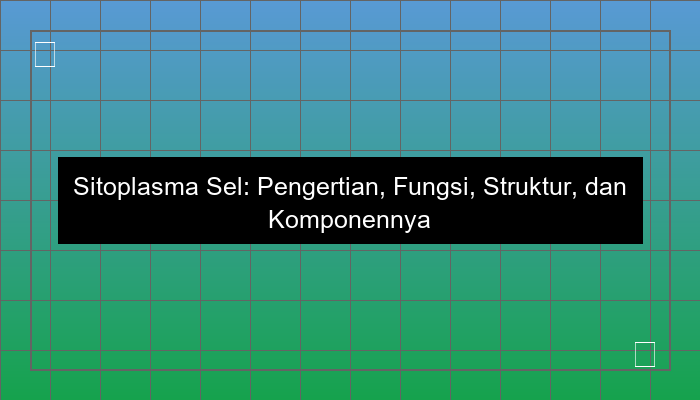 sitoplasma sel
