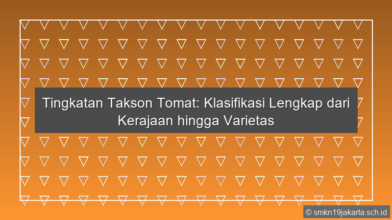 Tingkatan Takson Tomat