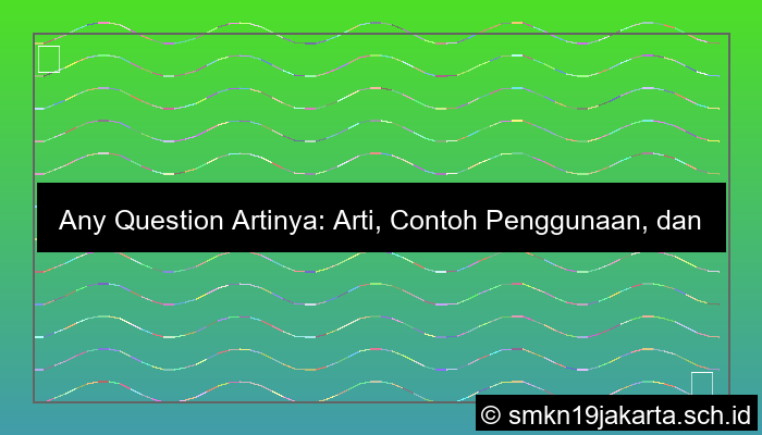 visual any question artinya