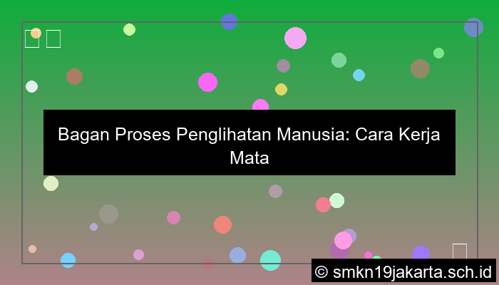 grafik bagan proses penglihatan manusia