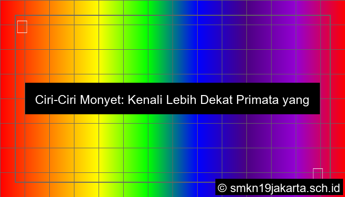 ciri ciri monyet