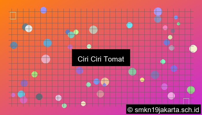 ciri ciri tomat