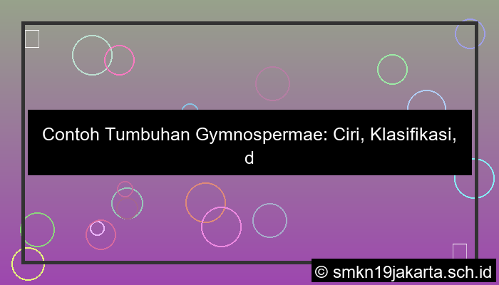 contoh tumbuhan gymnospermae