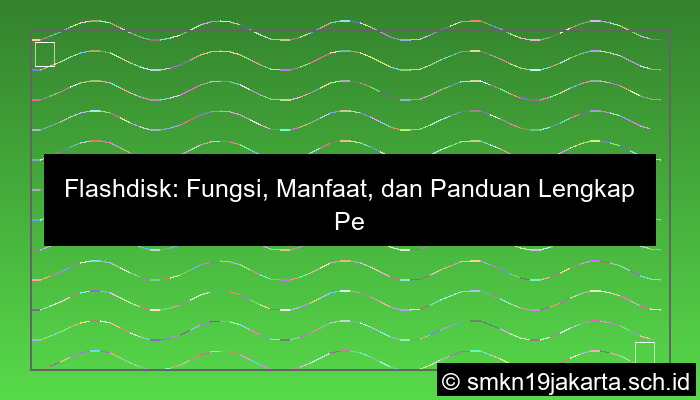 visual flashdisk berfungsi untuk
