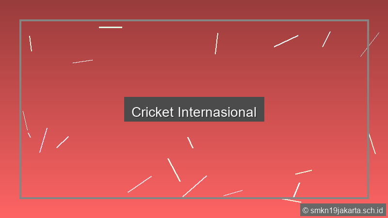 Cricket Internasional
