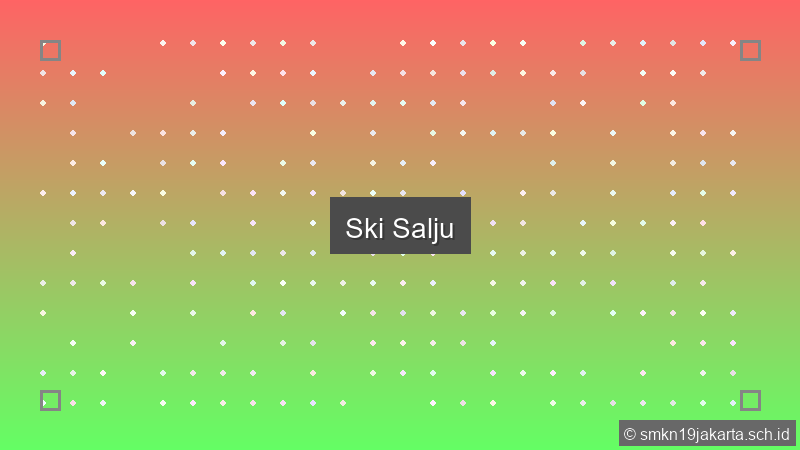 Ski Salju