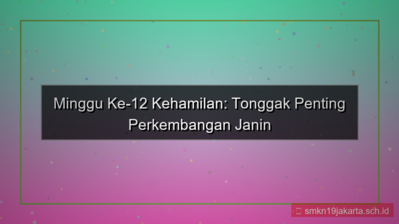 konten 12 minggu kehamilan dari sekarang