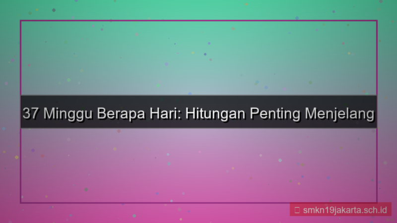 konten 37 minggu berapa hari