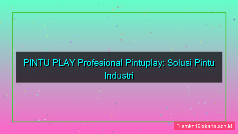 PINTU PLAY profesional pintuplay