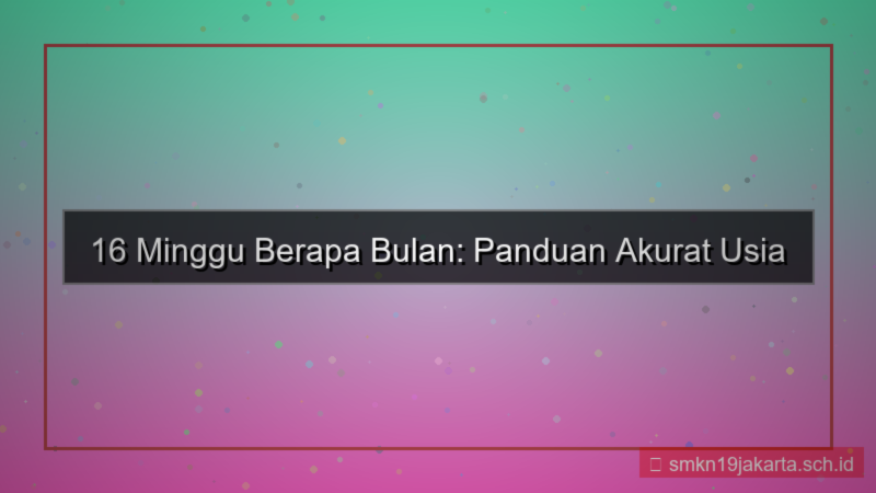 ilustrasi 16 minggu berapa bulan